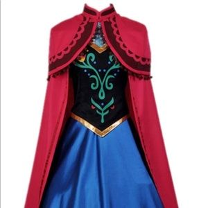 Deluxe Frozen Princess Anna Costume - Large